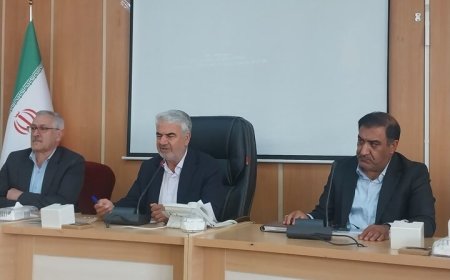 مدیرکل دامپزشکی کهگیلویه و بویراحمد: فروش مرغ زنده غیرمجاز عامل اصلی خطر آنفولانزای فوق‌حاد پرندگان