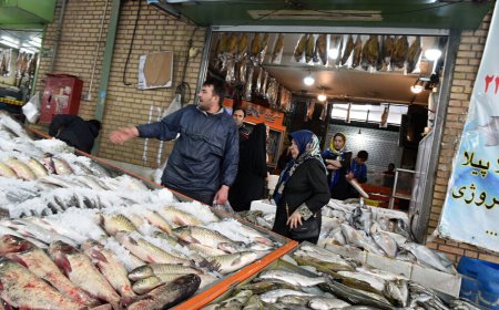 قیمت امروز ماهی و میگو در بازار جنوب