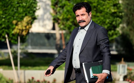 معاون رئیس‌جمهور در امور توسعه روستایی وارد جزیره قشم شد
