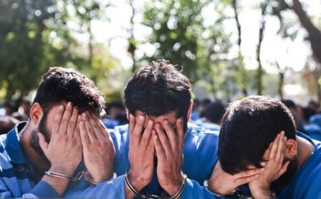 دستگیری دو سارق و یک مالخر با اعتراف به ۱۰۸ فقره سرقت در کهگیلویه