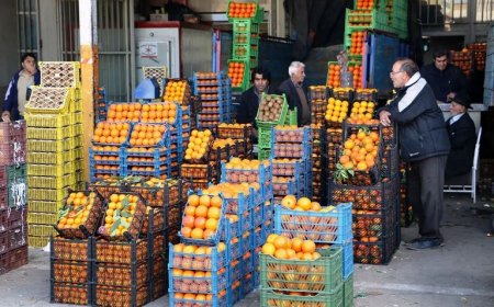 توسعه میدان میوه و تره‌بار با سرمایه‌گذاری ۵ تا ۶ هزار میلیارد تومانی انجام می شود