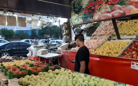 مدیرکل صمت استان: ۶۶۰۰ پروانه کسب صنفی در بوشهر صادر شد