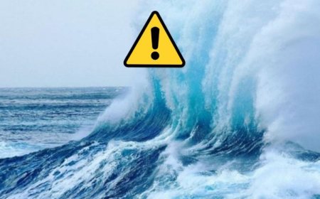 صدور هشدار دریایی در استان بوشهر