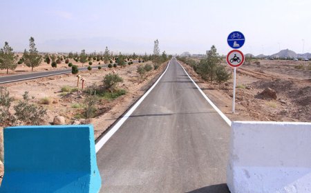 طرح پلیس برای ساماندهی جاده سلامت برازجان اجرا شد
