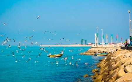 سواحل استان بوشهر تا فردا متلاطم است
