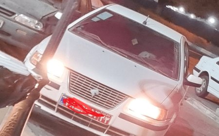 تشکیل پرونده قضایی برای عامل سگ گردانی در بندرعباس