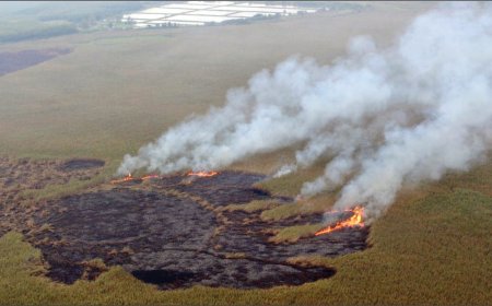 بی‌توجهی عراق به حق‌آبه؛ ریشه تداوم آتش‌سوزی در هورالعظیم
