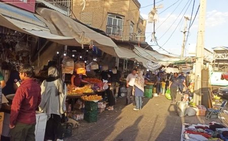 انتقال اصناف دروازه کازرون شیراز به بازار پروتئین به مرحله نهایی رسید