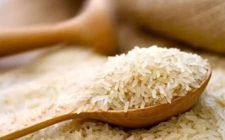 جنوب بی‌برنج؛ وعده‌هایی که هرگز محقق نمی‌شوند!
