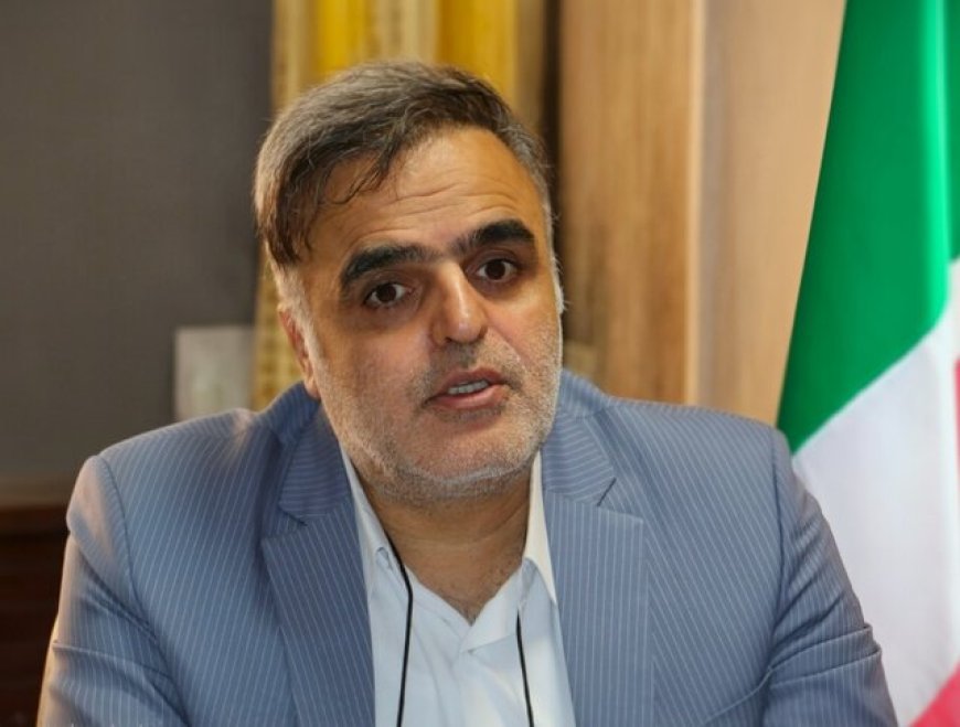 هشدار دادگستری فارس درباره شیوع کلاهبرداری اینترنتی «قصابی خوک»