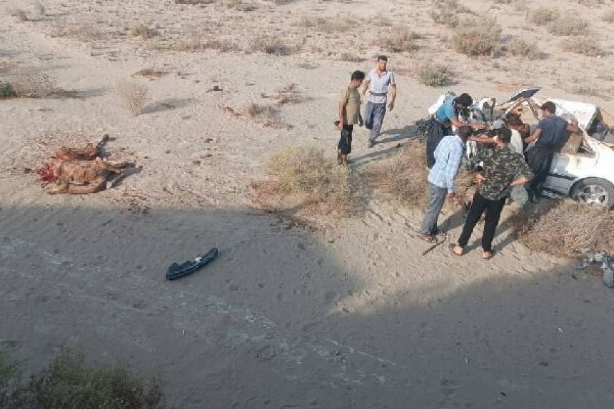 مرگ راننده جوان پس از تصادف با شتر در جاسک