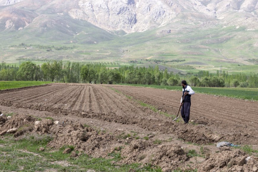 سایه سنگین خشکسالی برگچساران