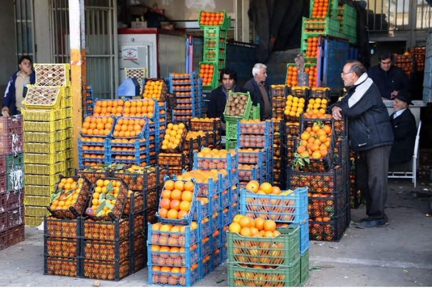 توسعه میدان میوه و تره‌بار با سرمایه‌گذاری ۵ تا ۶ هزار میلیارد تومانی انجام می شود