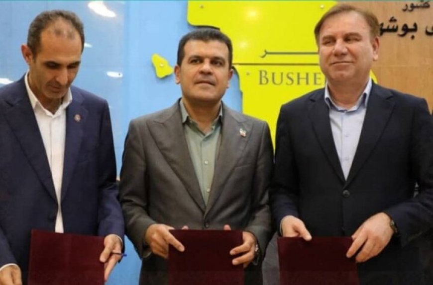 امضا تفاهم‌نامه سه‌جانبه راهبردی برای توسعه هوش مصنوعی در بوشهر
