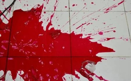 دستگیری قاتل زن ۷۰ ساله در حاجی‌آباد پس از دو ماه فرار
