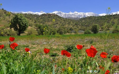 65 ثانیه با تنوع زیستی ذخیره گاه زیست کره دنا