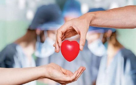 اعضای بدن جوان ۱۷ ساله فیروزآبادی به سه بیمار نیازمند عضو، حیات دوباره بخشید