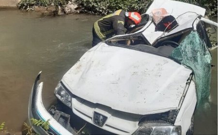 سقوط دو خودرو بدون خسارت جانی در بندرلنگه