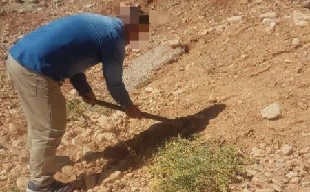 محکومیت تخریب‌کنندگان منابع طبیعی بویراحمد با «آرای سبز»؛ کاشت گیاه به جای حبس