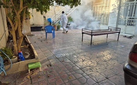 انجام نخستین مرحله عملیات مه پاشی به دنبال صید پشه آئدس درشهرکازرون