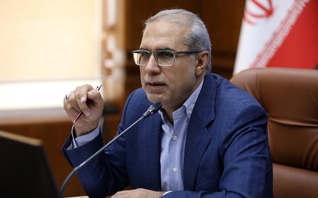 پیگیری مشکلات گمرکی و مالیاتی جزیره کیش پس از سفر وزیر اقتصاد آغاز شد