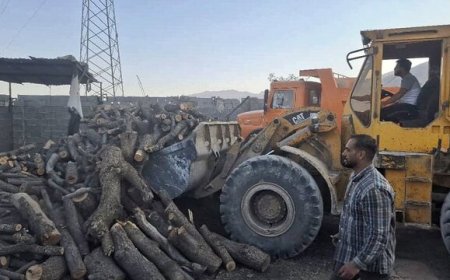 کشف ۲۵ تن هیزم و ۱۱ تن زغال از قاچاقچیان چوب در کازرون