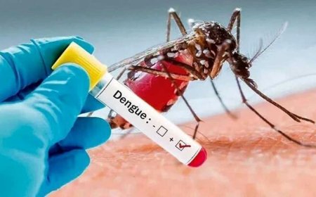 شمار مبتلایان به تب دنگی در هرمزگان به ۱۶۸ نفر رسید