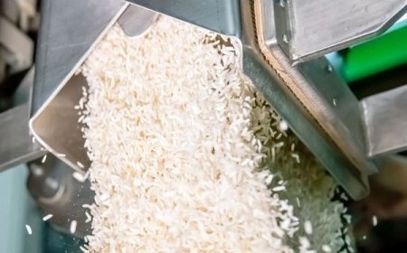 تبدیل سالیانه بیش از ۲۵ هزار تن شلتوک به برنج در بیضا