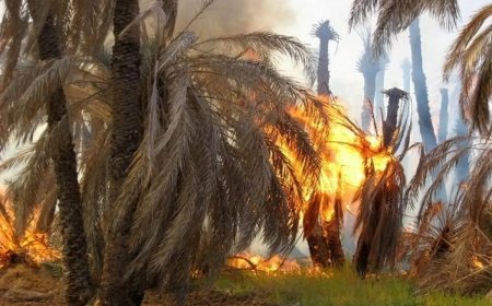 مانور مقابله با آتش‌سوزی در اراضی ملی بندر ماهشهر برگزار شد