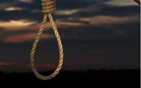 قصاص قاتل پزشک یاسوجی در ملأ عام اجرا شد