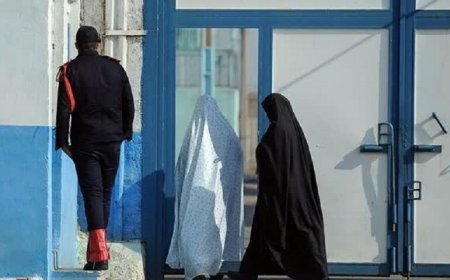 ۲۰ زندانی غیرعمد مالی در بوشهر آزاد شدند