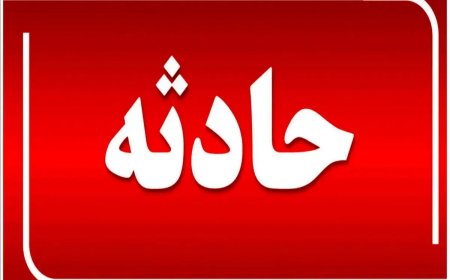 سقوط درخت منجر به جان باختن یک فرد در گچساران شد