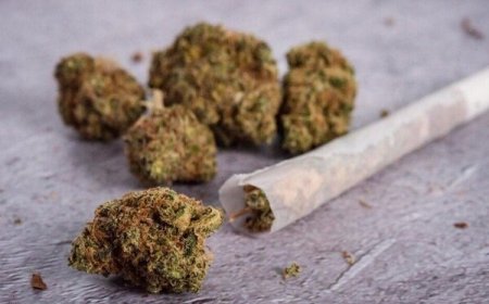 یک سوداگر مرگ با بیش از ۱۲ کیلو حشیش در میناب زمین‌گیر شد