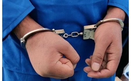 باند سرقت طلاجات زنان کهنسال در دشتستان منهدم شد
