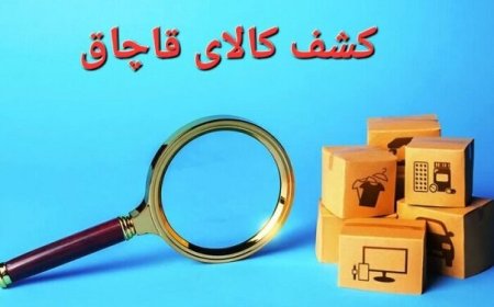 کامیون حامل کالای قاچاق در هرمزگان توقیف شد