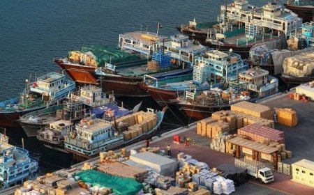 ۴۰۰ شناور در بوشهر نیازمند سازماندهی