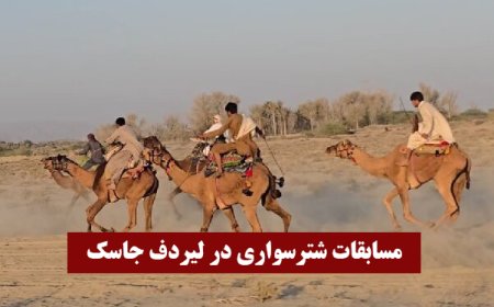 مسابقات شترسواری در بخش لیردف جاسک برگزار شد