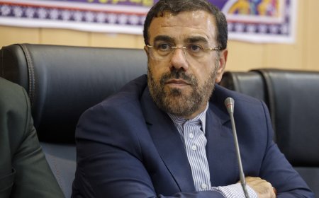 امیری: جشنواره جهانی فجر در شیراز، فرصتی برای شکستن انزوای فرهنگی ایران
