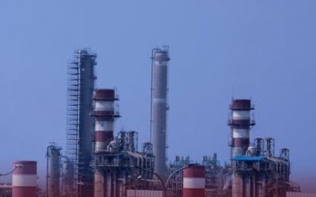 استاندار بوشهر: زنجیره ارزش پتروشیمی در استان توسعه یابد