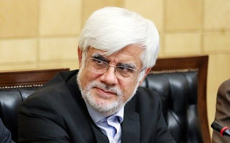 عارف: سینما، زبانی مشترک برای گفت‌وگوی فرهنگ‌هاست