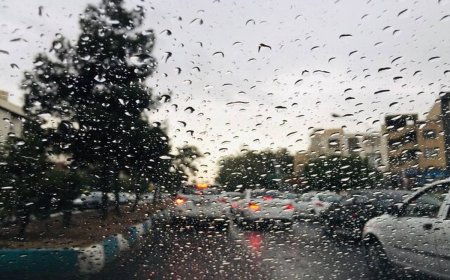 معاون شهردار: شیراز برای بارش‌های فصل بارندگی آماده است / بازنگری آبرسانی باغات قصردشت آغاز شد