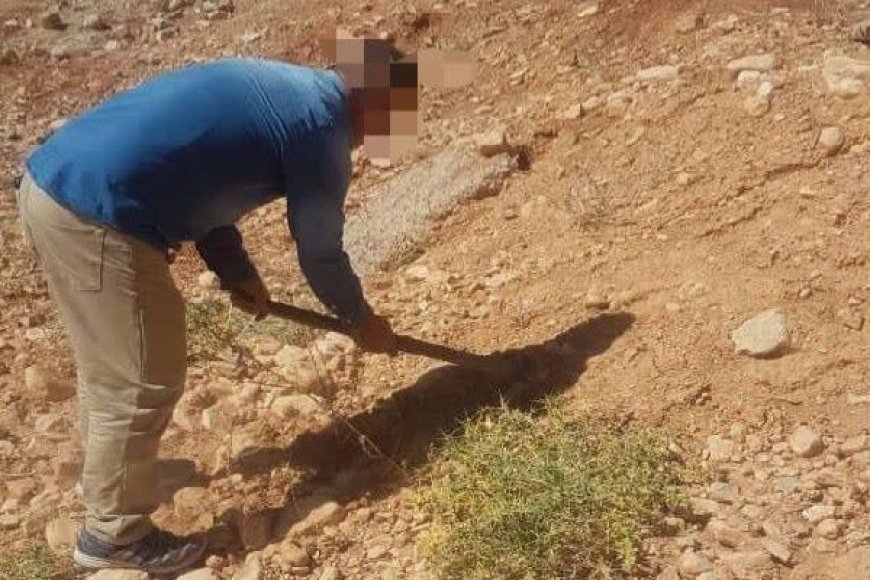 محکومیت تخریب‌کنندگان منابع طبیعی بویراحمد با «آرای سبز»؛ کاشت گیاه به جای حبس