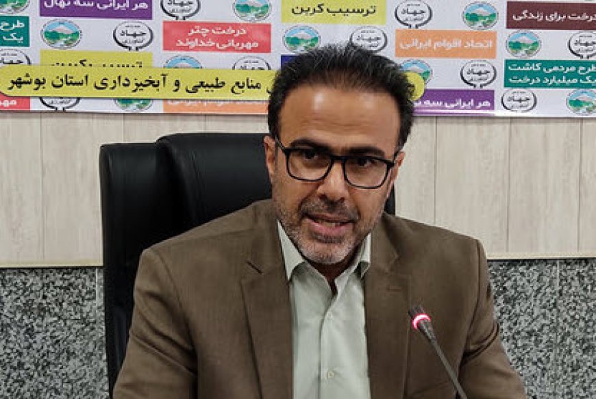 تداخل اراضی ۴ پلاک در شهرستان تنگستان پس از یک دهه تعیین‌تکلیف شد
