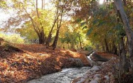 تنگ گنجه ای، گنجیه ای بی نظیر در کهگیلویه وبویراحمد