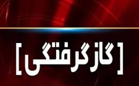 گازگرفتگی ۷۵ نفر را در کهگیلویه و بویراحمد راهی بیمارستان کرد