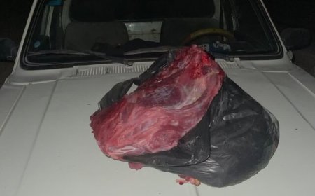 شکارچی گراز در کازرون دستگیر شد
