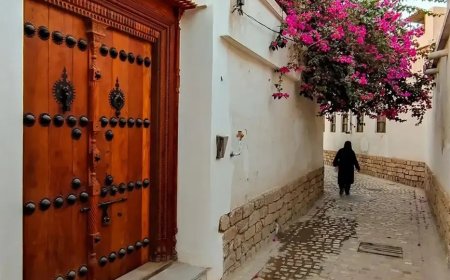 دستورالعمل طراحی نماهای شهری بوشهر تدوین شد؛ گامی مهم در ارتقای هویت معماری شهر
