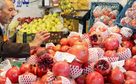 عرضه گسترده میوه شب یلدا با قیمت منصفانه و نظارت ویژه در بازارچه‌های شهر راز شیراز