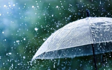 بارش باران آخر هفته مهمان فارسی‌ها می‌شود