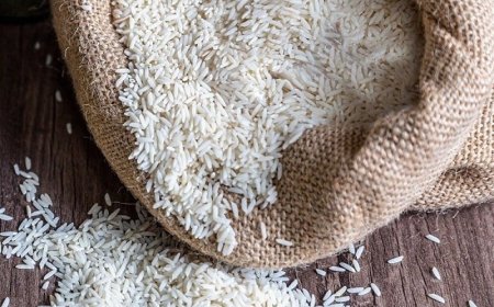 توزیع ماهانه بیش از ۷۰۰۰ تن برنج تنظیم بازار در فارس ادامه دارد